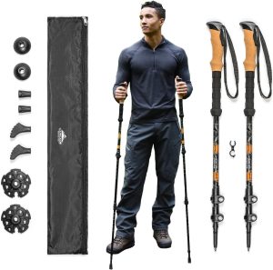 Comparing Top Walking Canes and Trekking Poles for 2025